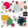 Paris Flowers Kit