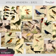 African Ephemera Kit - Birds