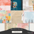 Fieldnotes #1 Mixed Media Papers Kit