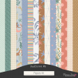 Fieldnotes #6 Papers Kit