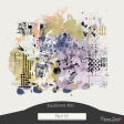 Fieldnotes #10 Paint Kit