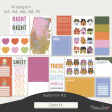 Fieldnotes #11 Cards Kit
