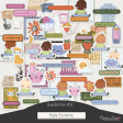 Fieldnotes #11 Baby Elements Kit