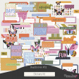 Fieldnotes #11 Stickers Kit