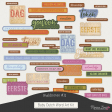 Fieldnotes #11 Dutch Baby Word Art Kit