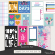 Fieldnotes #13 Cards Kit