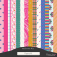 Fieldnotes #13 Papers Kit