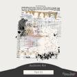 Fieldnotes #14 Paint Kit