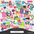 Fieldnotes #17 Stickers Kit