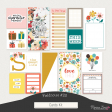 Fieldnotes #20 Cards Kit