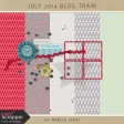 July 2014 Blog Train