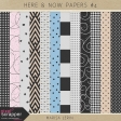Here & Now Papers Kit #4