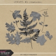 Leaves No.2 - Templates