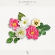 Flowers No.23