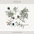 Leaves No.14