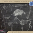 Chills & Thrills - Chalk Skeleton Stamp Kit 3