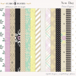 New Day Print Papers