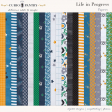 Life in Progress Papers
