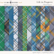 Life in Progress Plaid Papers