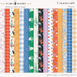 Countryside Papers