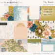 Tap Roots Journal Cards