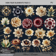 New Year Elements Pack 3