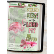 Bible Journaling: Stand firm
