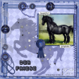 Der Friese - Friesian Horse