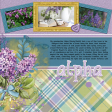 Alpha's Lilacs