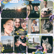 P52 Project Life 2025 Week Seventeen