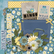 Denim & Daisies