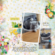 Berry Sweet Bee 2