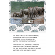 Safari 02