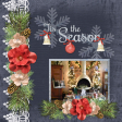 Tis the Season (pbs)