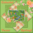 Colorful Texas Spring...6scr