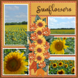 Sunflowers-2...6scr