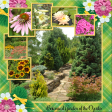 Botanic Gardens of the Ozarks...3cpjess
