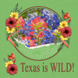 Texas is WILD!
