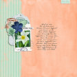 Peerless Primrose Daffodil