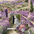 Wedding Day