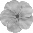 Flower #02 Template