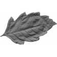 Outdoor Adventures - Element Template - Leaf 02