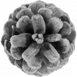 Outdoor Adventures - Element Template - Pine Cone Flower 02