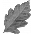 Spookalicious - Element Templates - Leaf 02