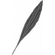 Spookalicious - Element Templates - Leaf 03