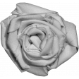 Fabric Flower Template 022