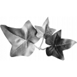 Leaf Template 008