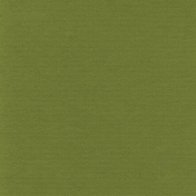Turkey Time Solid Papers- Solid Dark Green Paper