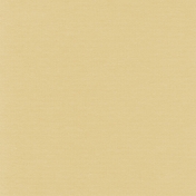 Turkey Time Solid Papers- Solid Tan Paper