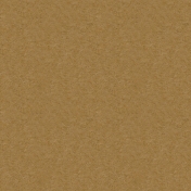 Kraft Papers- Set 01- Texture 03